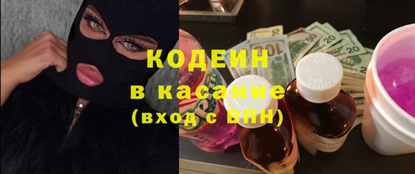 ПСИЛОЦИБИНОВЫЕ ГРИБЫ Арсеньев