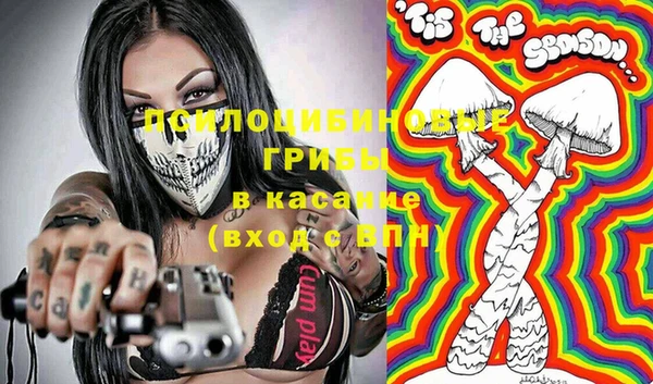 амф Аркадак